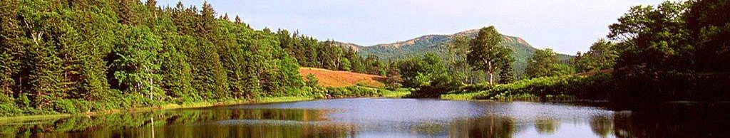 Water Image
